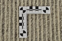 Vorschau: Talonga Rib Vorschau: Talonga Rib